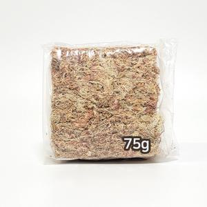 칠레산 수태 75g 150g 소포장 천연 이끼 분갈이 몬스테라 수태봉