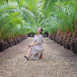 [제주] 우도정원 /우도 그림공원 테마파크 정원 야자숲길 전망대