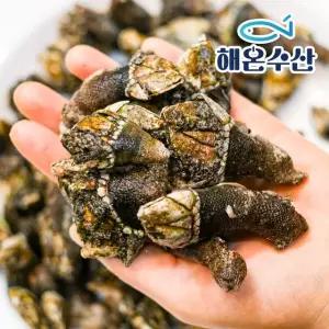 [해온수산] 자연산 자숙 거북손 70~80미내외 1kg