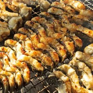 국내산 자포니카 민물장어 1kg 2미/양념소스+초생강 증정