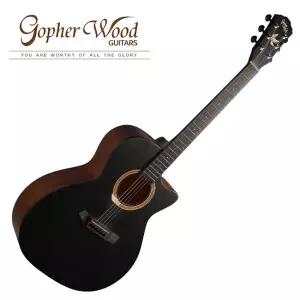 [스쿨뮤직]고퍼우드 i132C 통기타 (Midnight Dust)