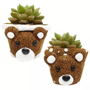 [하프클럽/알티피아]글로벌이지 곰돌이 코코넛 화분 생다육이 (1인용)