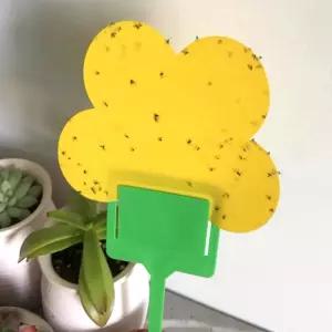 뿌리파리 날파리 초파리 화분 끈끈이트랩 벌레 잡이 초끈끈이 초트랩 작은 노란