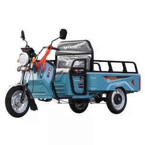 삼륜 전동차 농업용 세발 오토바이 운반차 스쿠터 삼륜오토바이 전동스쿠터 소형 농촌 삼륜차