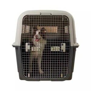 대형견 켄넬 항공 애견 동물 20 이동 운송케이지 견사
