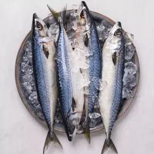 부산 자반고등어 참고등어 국산 왕특대 특대 중대 10미 보투아몽드