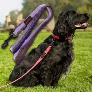 강아지 야간반사 리드줄 1.5cm 퍼플 S 1P 산책줄 리쉬 튼튼한산책줄
