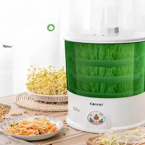 새싹 재배기 콩나물 키우기 가정용 실내 발아기 새순