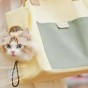[반려] 캔버스 강아지 백 가방 고양이 이동 외출 캐리어