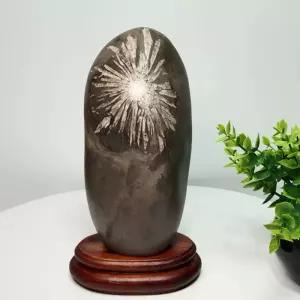 수석 석 개업 관상용 꽃돌 돌 수집품 문양석 원석