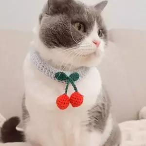 PET 강아지 고양이 뜨개 케이프 체리 스카프