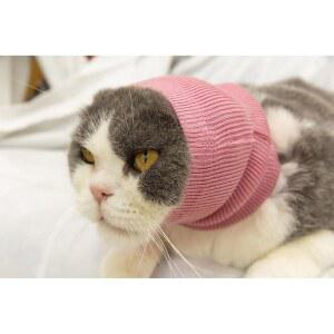 고양이를 위한 FANDADE 목 카울, 고양이 스카프 불안 u2013 불꽃놀이, 뇌우, 반려동물 그루밍 및 포스 드라이 (핑크 S) 소음 제거