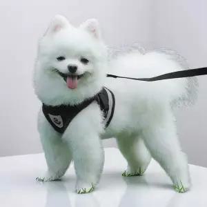 PrimeBulk 프리미엄 세이프 메쉬가슴줄 반려동물용품판촉물 기프트 B21B 납품용 선물용