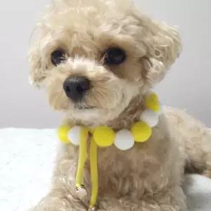 폼폼이뜨개케이프 애견폼폼이스카프