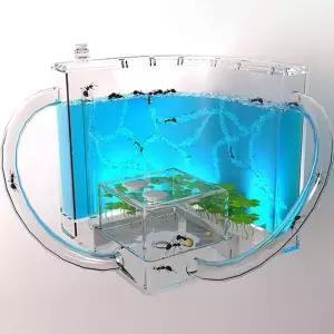 사육장 LED 개미집 여왕 개미 키우기 하우스 만들기