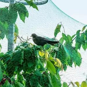 그물 새 망 방조망 농작물 보호 참새 비둘기4x10M