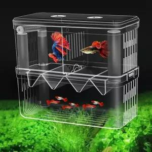 부화통 구피 열대어 번식함 격리통 치어통 대형 2칸