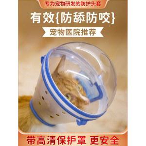 고양이 우주선 헬멧 애견 새끼 15 강아지 모음전 양말