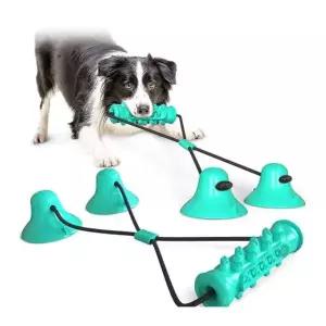 애견 튼튼한 민트 터그놀이 강아지장난감