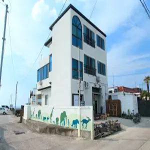 [제주 게스트하우스] 제주 눈큰새우 게스트하우스 (함덕,김녕,세화)