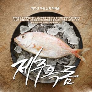 옥돔(중) 5마리/제주도