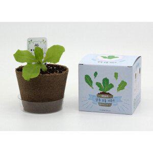 [오피스넥스]팜팜농장 상추