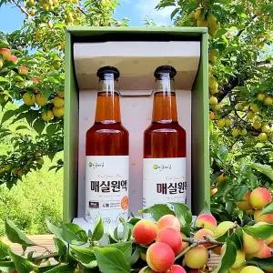 [인정식탁][광양진실매실] 진실매실 매실원액 선물세트(500ml x 2병)