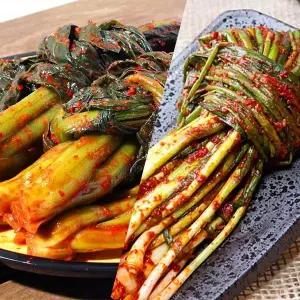 갤러리아 여수찬 산지직송 알싸한 여수 갓김치 2kg+파김치 1kg