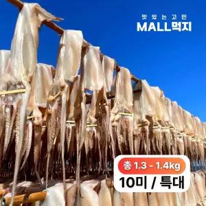 [국내원양]짜지않고 촉촉한 몰먹지 반건조오징어 특대 10미- 구룡포 해풍 최상급 피데기(총1.3-1.4kg)