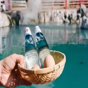 규슈/후쿠오카 3일 #신상호텔 #월드체인특급힐튼 #전객실 오션뷰 리조트 #바다전망대욕장 #유후인+벳푸 #감성소도시여행 #다자이후텐만구 #라라포트 자유시간