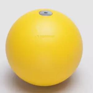 학교체육 중량 던지기공 육상선수 전문용 3kg 100mm 훈련장비