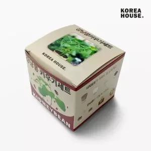 강낭콩 키우기세트 베란다 텃밭 홈가드닝 식물 기르기 (WFFKJR5)