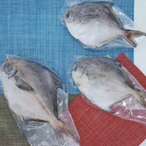 국산 병어 1팩 1마리 300g 냉동