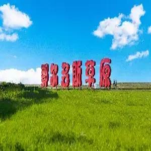 [내몽골직항]내몽골/초원/사막 4일 #MD추천 #낙타체험 #모래썰매 #사막유리호텔 #초원썰매 #초원서커스 #징기스칸릉 #오르도스박물관 #2025신상현대식게르[2인1실] #월드체인5성급호텔