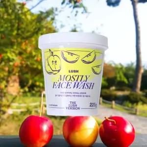 러쉬 거품없는 페이스 워시 클렌저 모스틀리 225g