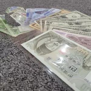 100장 동전 지폐홀더 비닐 돈 코인 앨범 수집 보관팩