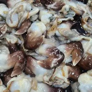 국내산 생물 검정 새조개 200g 1팩