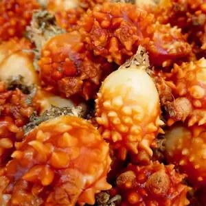 산지직송 제철 활멍게1kg 손질깐멍게500g 통영햇멍게