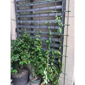 포도나무 넝쿨 지지대 식물 덩쿨 거치대 가드닝 터널형 철제