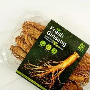 금산인삼 고려인삼 (1124)(B) 4호