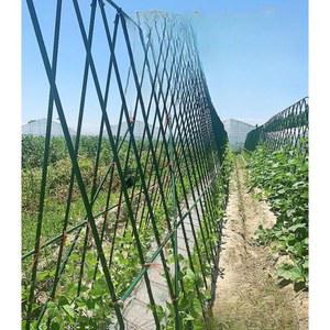 텃밭 지대 작물 키우기 아치형 덩굴망 고추줄 상추재배 사이즈 세트형 농업용 가지