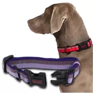 강아지 야간반사 목줄 퍼플 L 1P D링 산책 고정밴드 애견산책