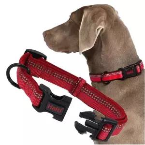 강아지 야간반사 목줄 레드 S 1P D링 산책 고정밴드 애견산책