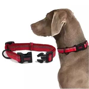 강아지 야간반사 목줄 레드 L 1P D링 산책 고정밴드 애견산책