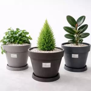 네이처 카멜레온 FO1.1 라운드 플라스틱 중형화분 거실 사무실 관엽식물 플랜테리어 데코