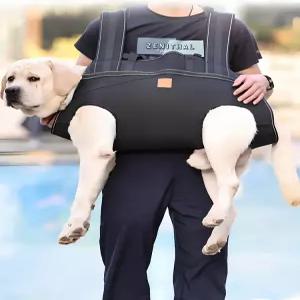 대형견 이동가방 노령견 보조 이동장 가방 강아지 캐리어