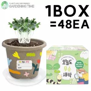 오늘도 새싹 - 지피포트 무순 48개입 1박스 / 대량 학습 새싹 모종 원예체험 식물 화분기르기