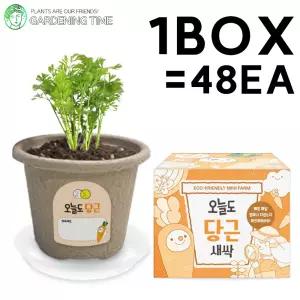 오늘도 새싹 - 지피포트 당근 48개입 1박스 / 대량 학습 야채 채소 모종 원예체험 식물 화분기르기