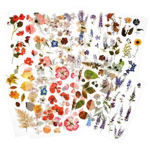 메이플러스 러빙 이송 스티커 - | 디자인 스크랩북, 위한 적용할 제작을 카드 장식 수 쉽게 10장 공예 있는 및 플래너, 꽃 (정원) 식물