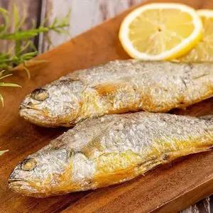 [애월농수산] 산지직송 제주 한림수협 참굴비 600g(10미) x 3팩